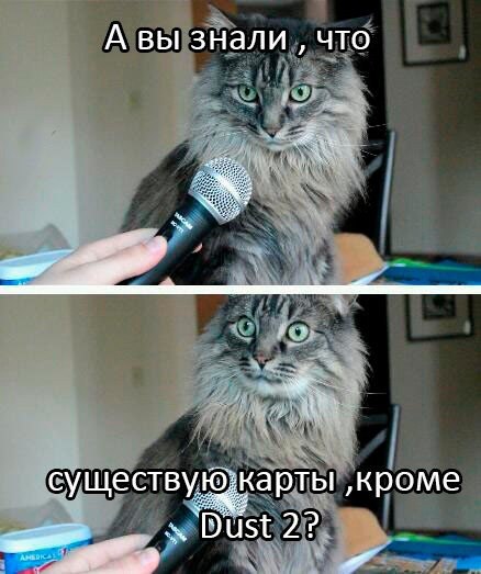 JCg5nIu7y7Q.jpg