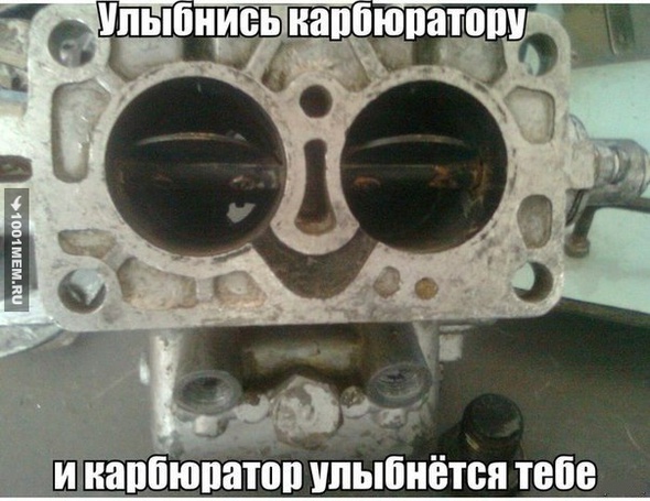 3722010.jpg
