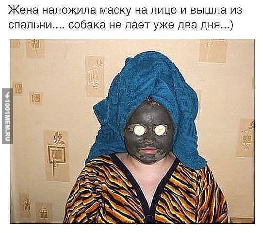 3723009.jpg