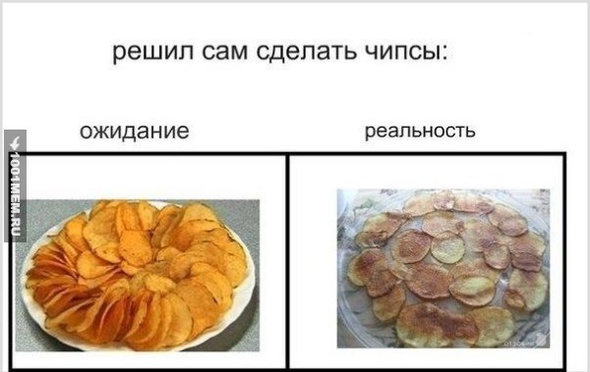 3732491.jpg