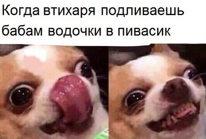 podborkl.jpg
