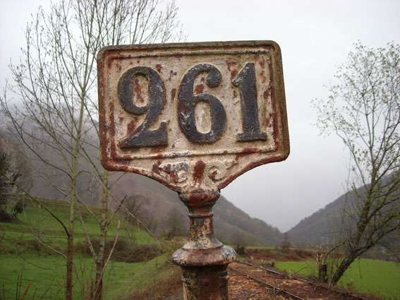 nt190_PK261.jpg