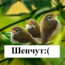 Сашенька